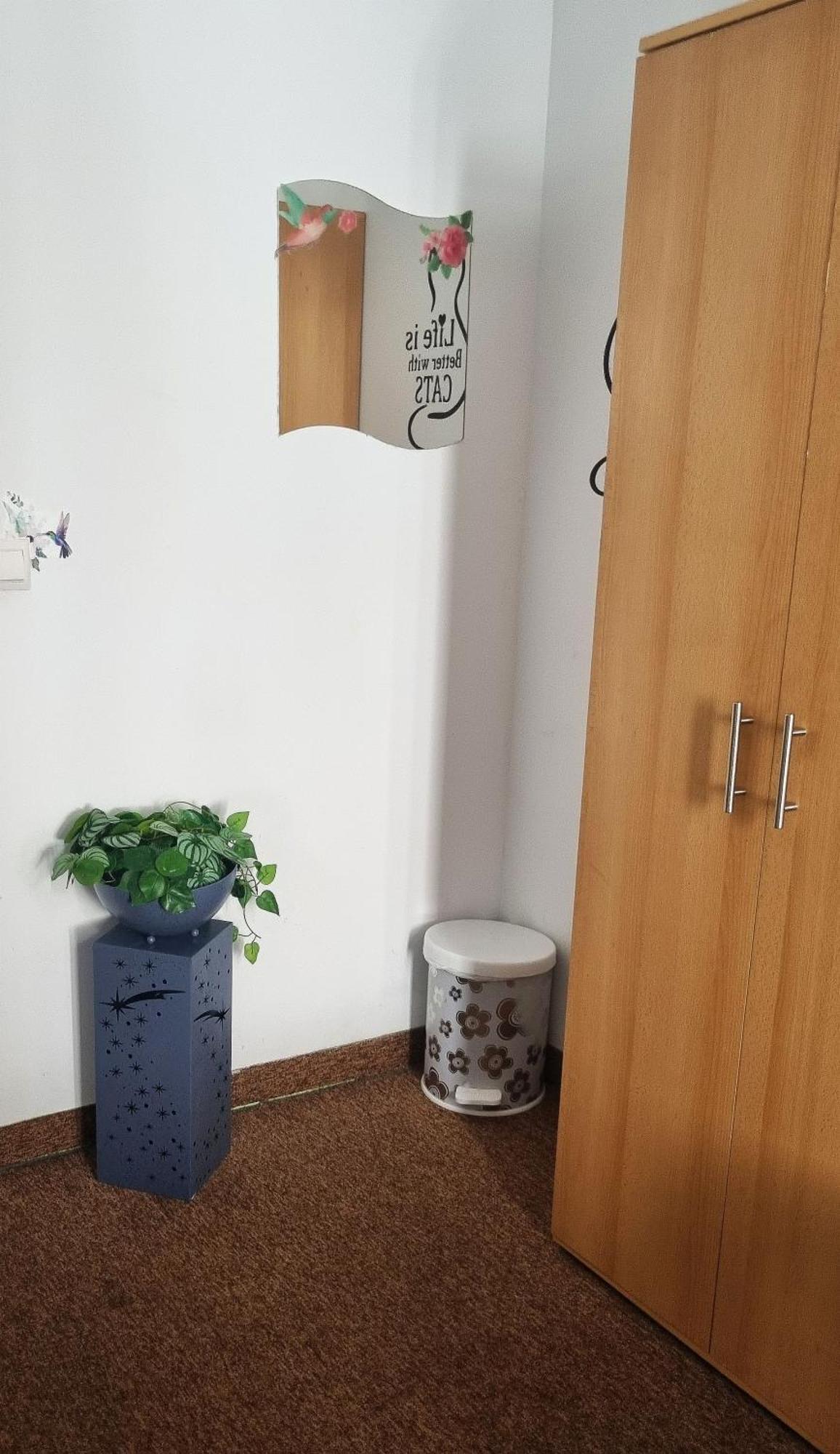 Green Cat Rooms Краков Экстерьер фото