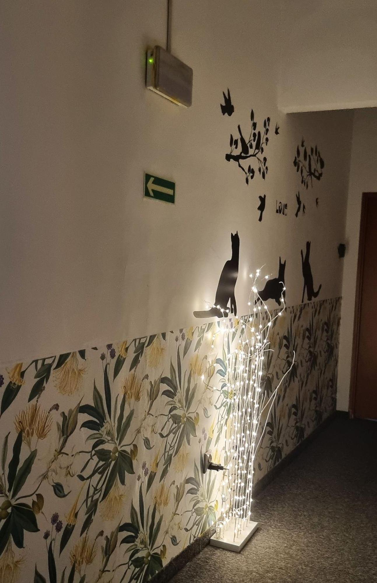 Green Cat Rooms Краков Экстерьер фото
